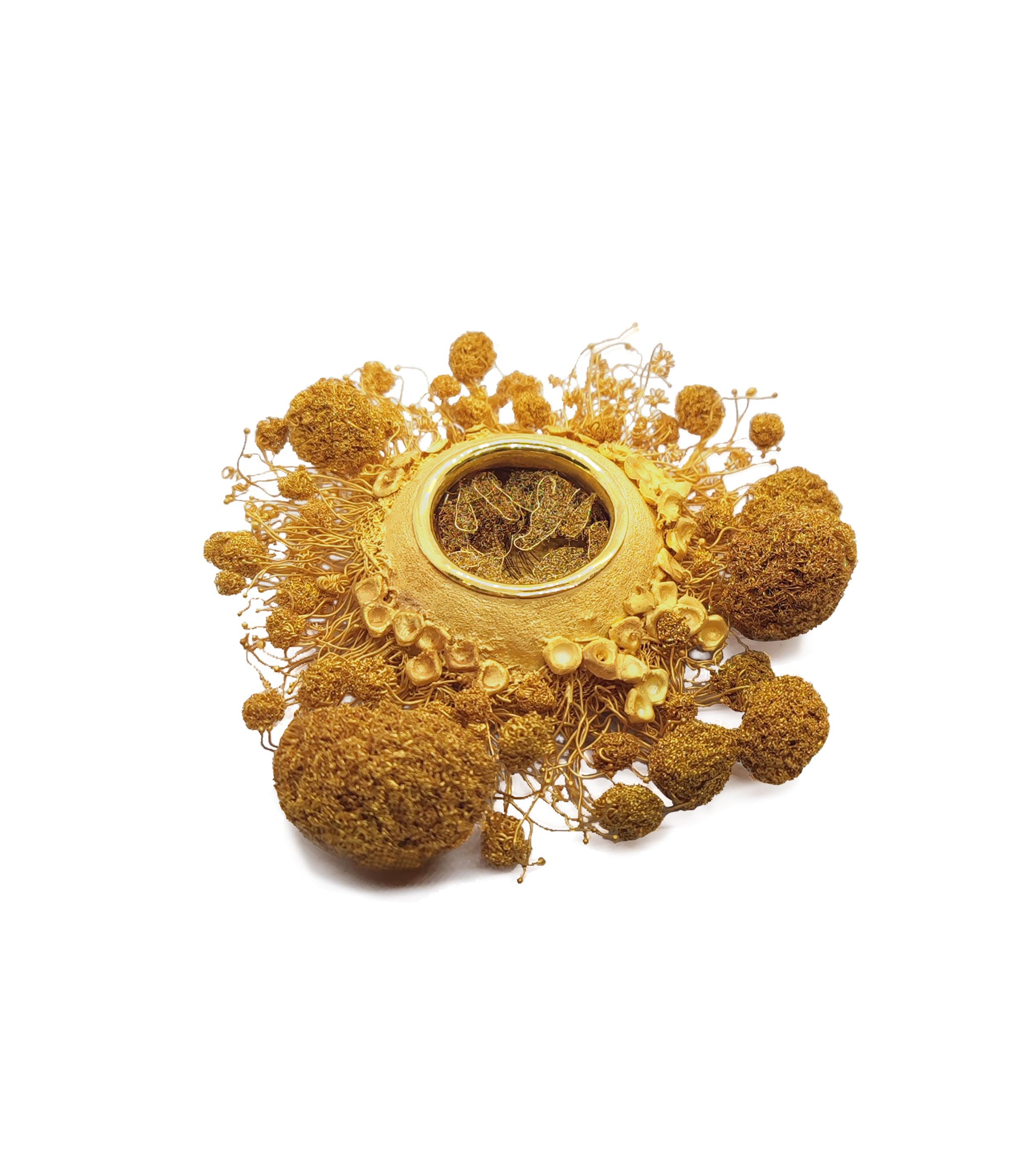 Live like a summer flower - Golden Mammary 05