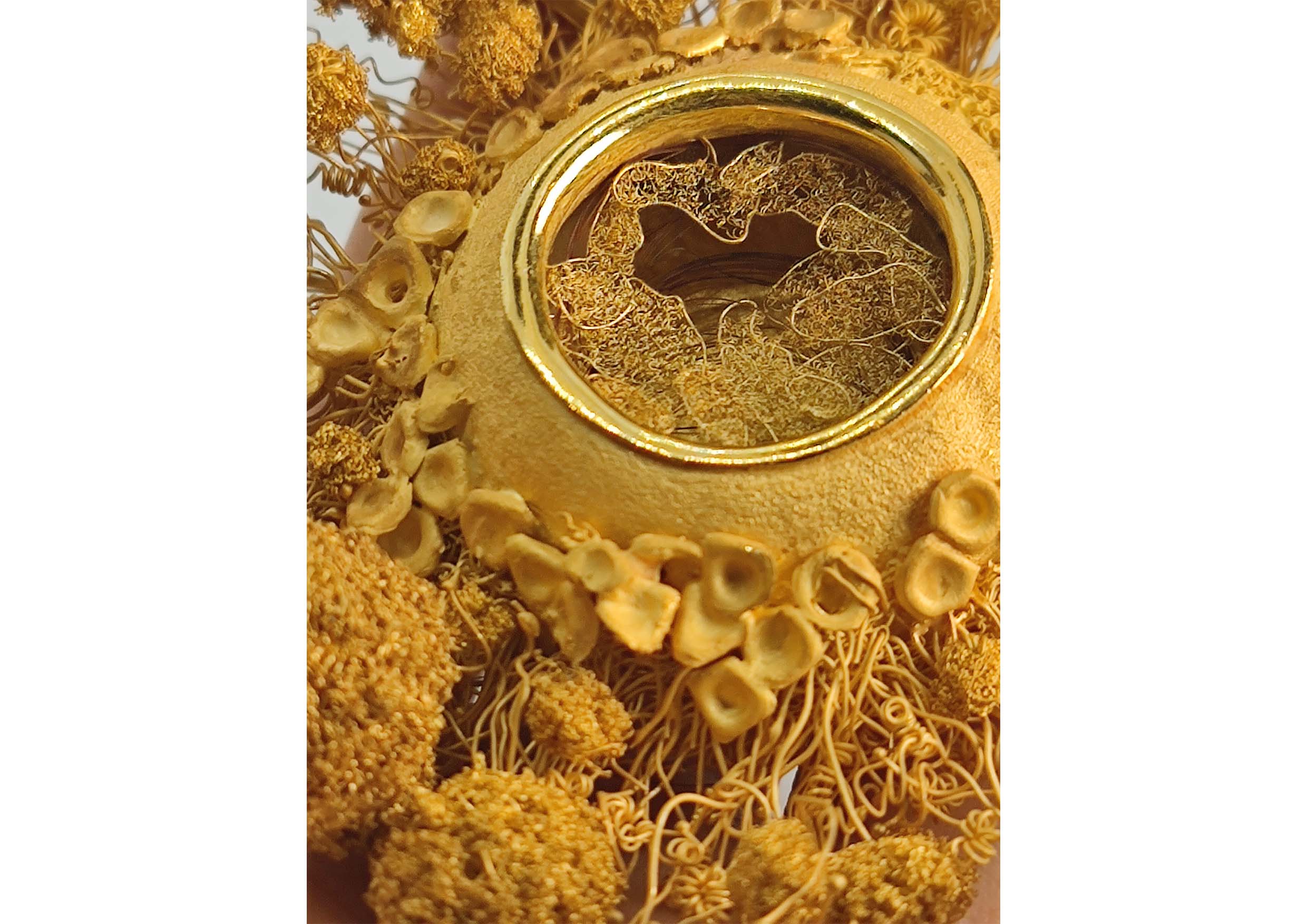 Live like a summer flower - Golden Mammary 05