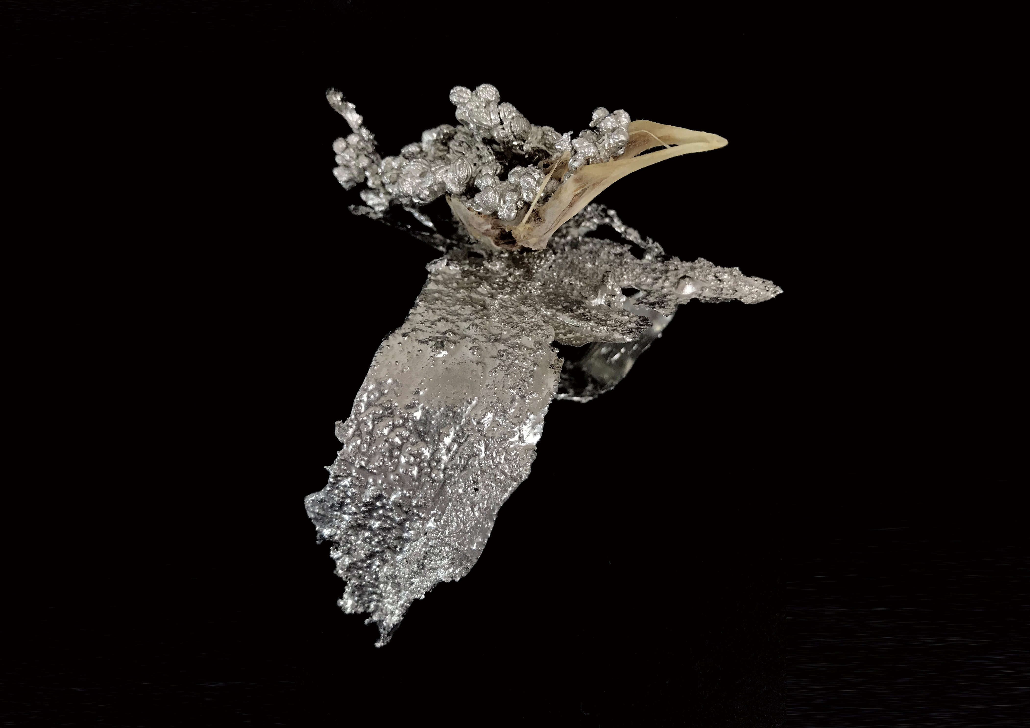 The Death of Mr.Sparrow