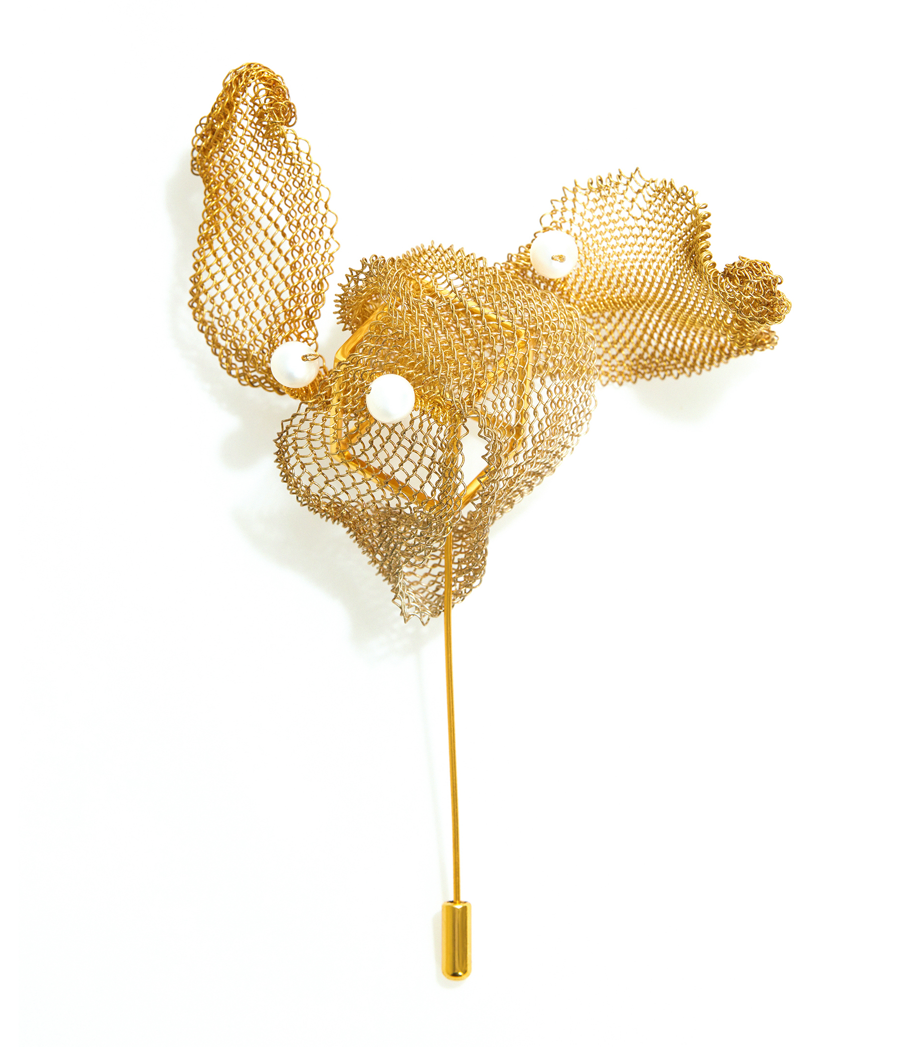 Fan Zhang