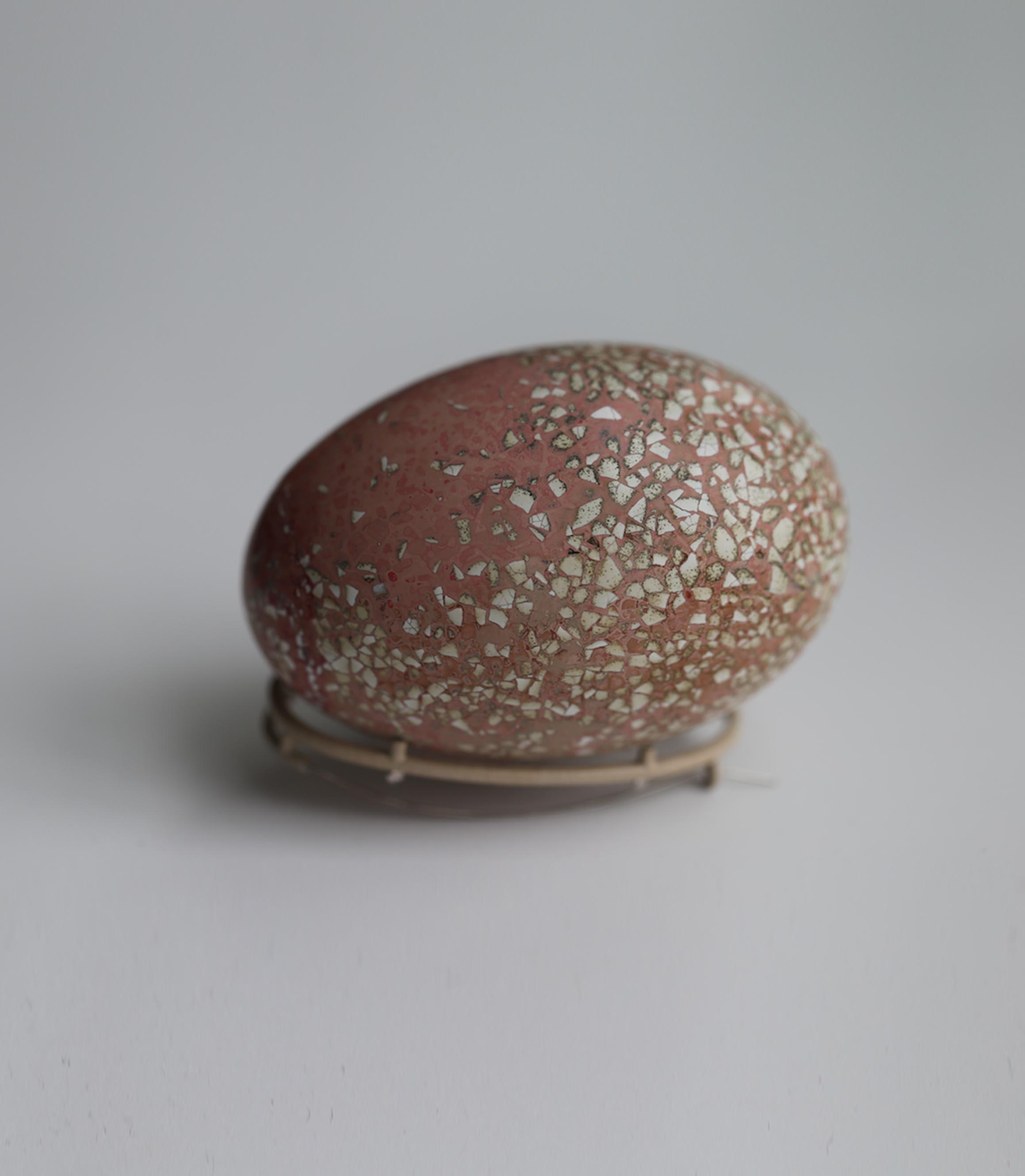 Origin and End to 0-1