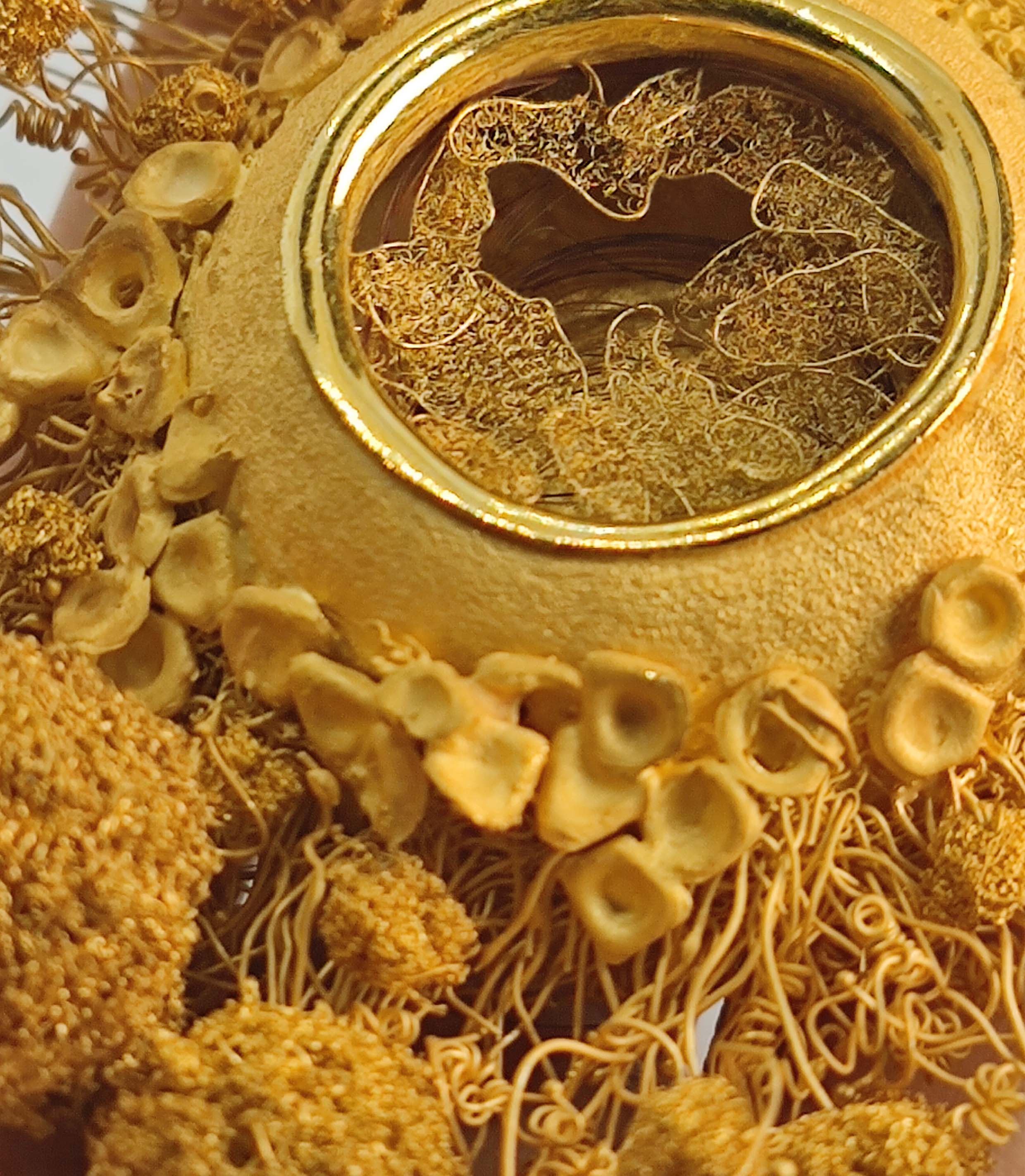 Live like a summer flower - Golden Mammary 05