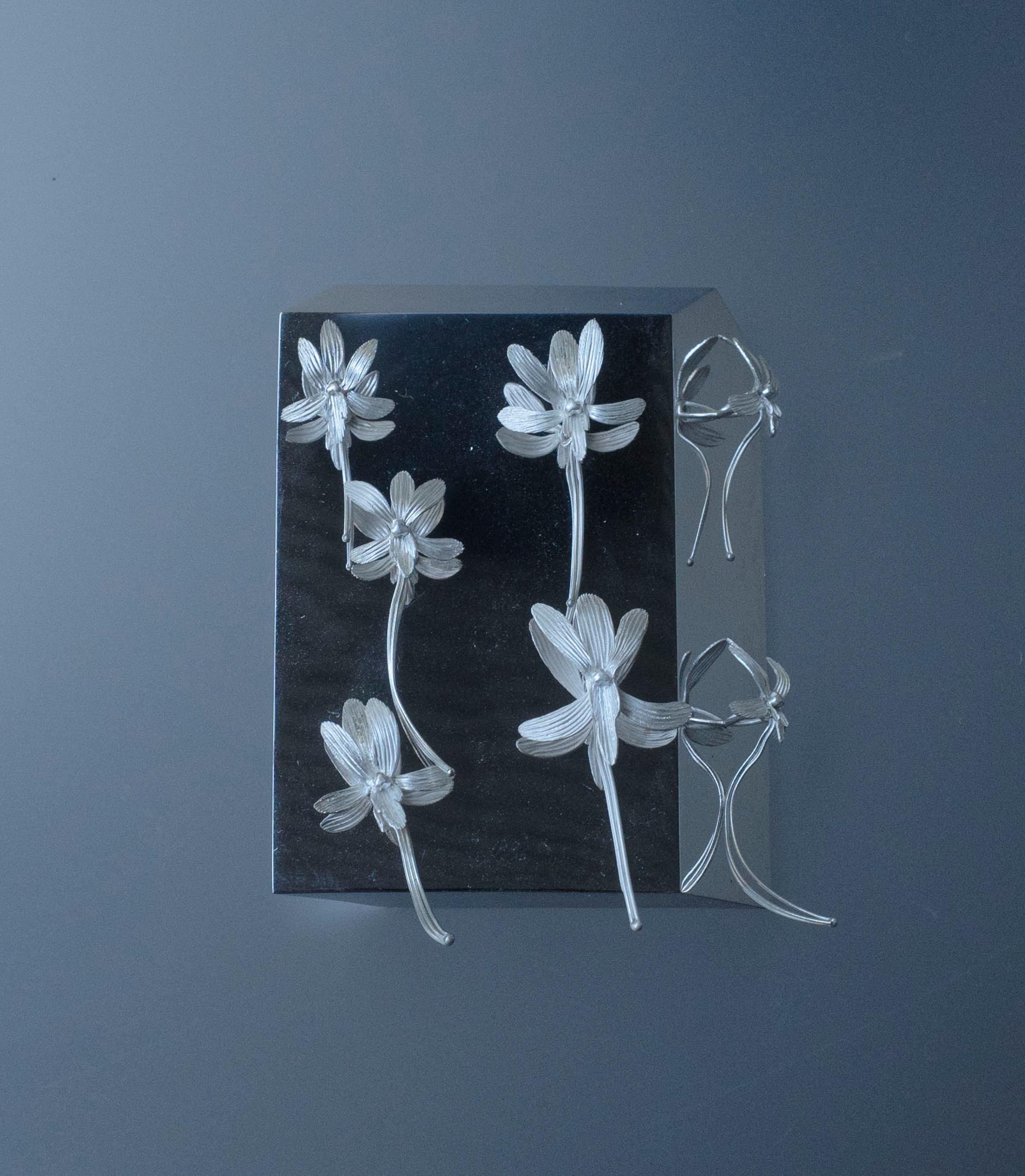 In time’s traces In time’s traces